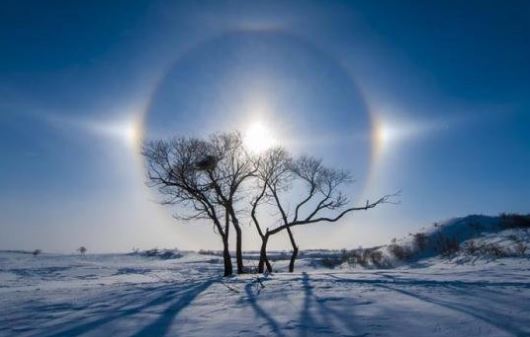 Fenomena Halo Matahari, Cincin Cahaya di Langit yang Menakjubkan