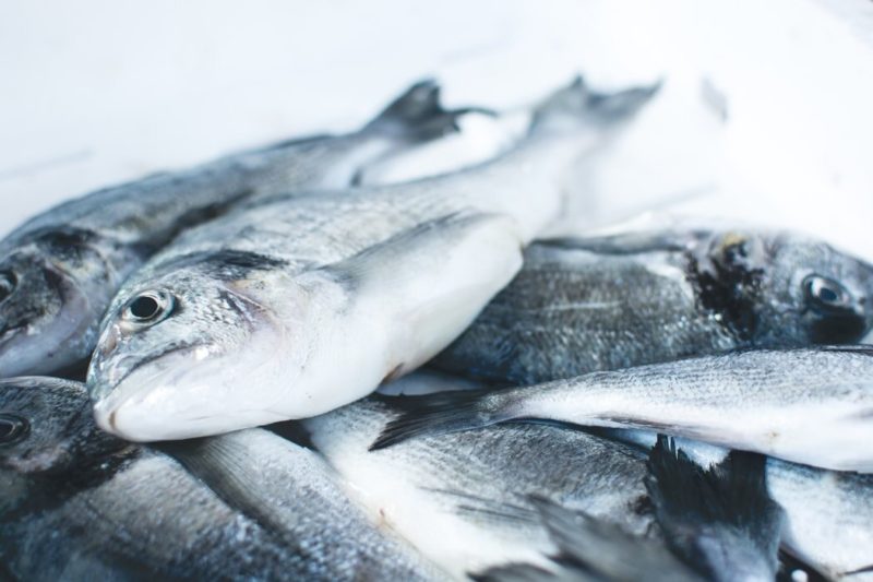 Sederet Fakta Ikan Kembung. Masih Mau Menyepelekannya?