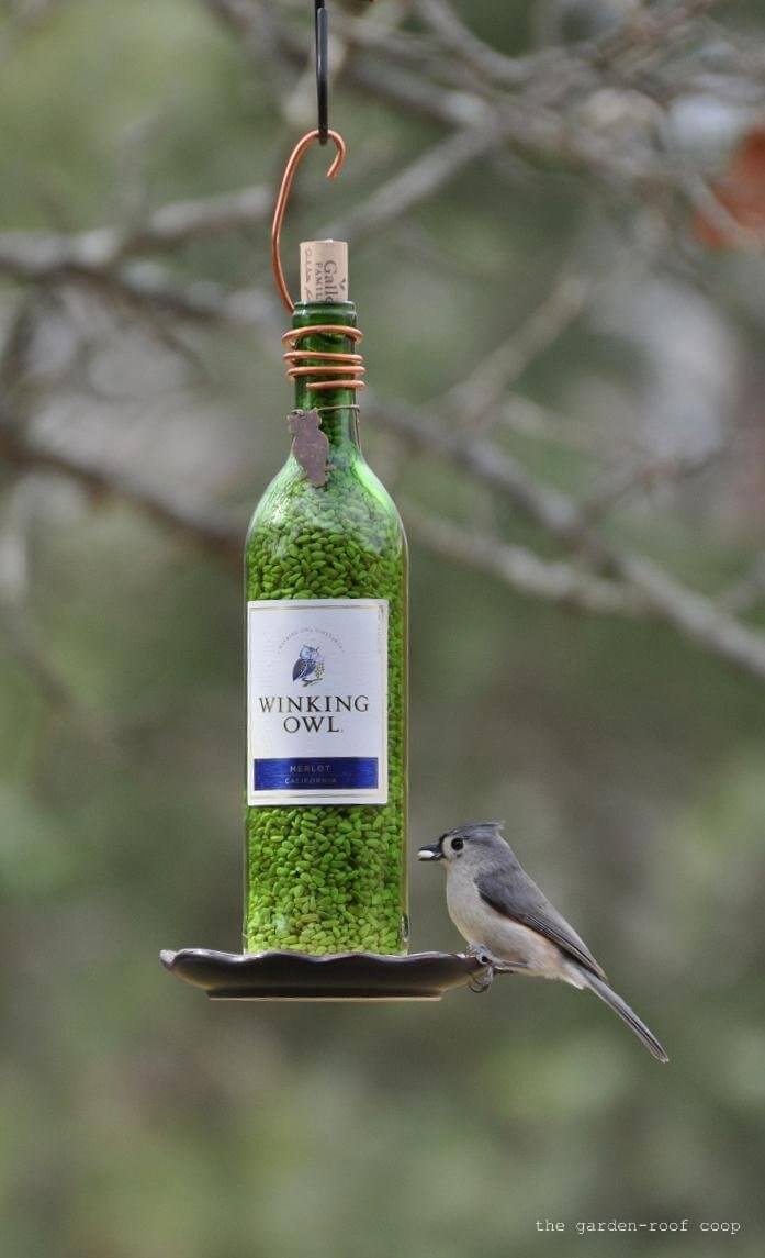 Bisa jadi Tempat Pakan Burung, 10 Cara Memanfaatkan Tempat Minuman