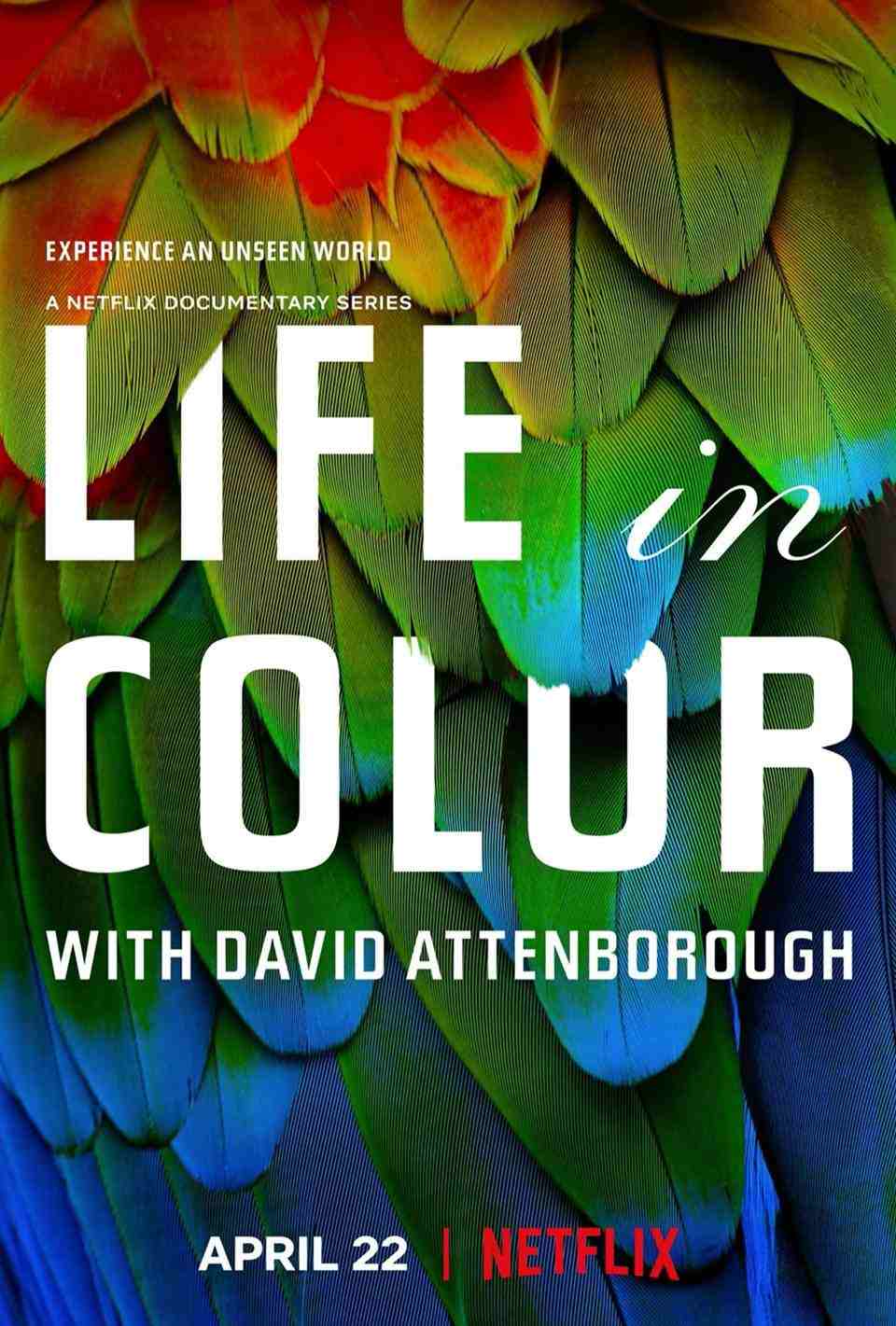 Sinopsis Life in Color with David Attenborough, Peran Penting Warna Bagi Hewan