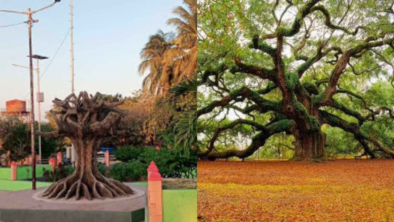 Pohon Kalpataru, Lambang Kehidupan yang Bernilai Spiritual Dailysia