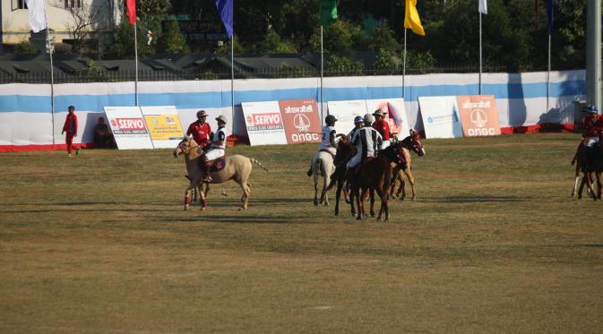 Polo: history, field size, rules of the game and important terms 