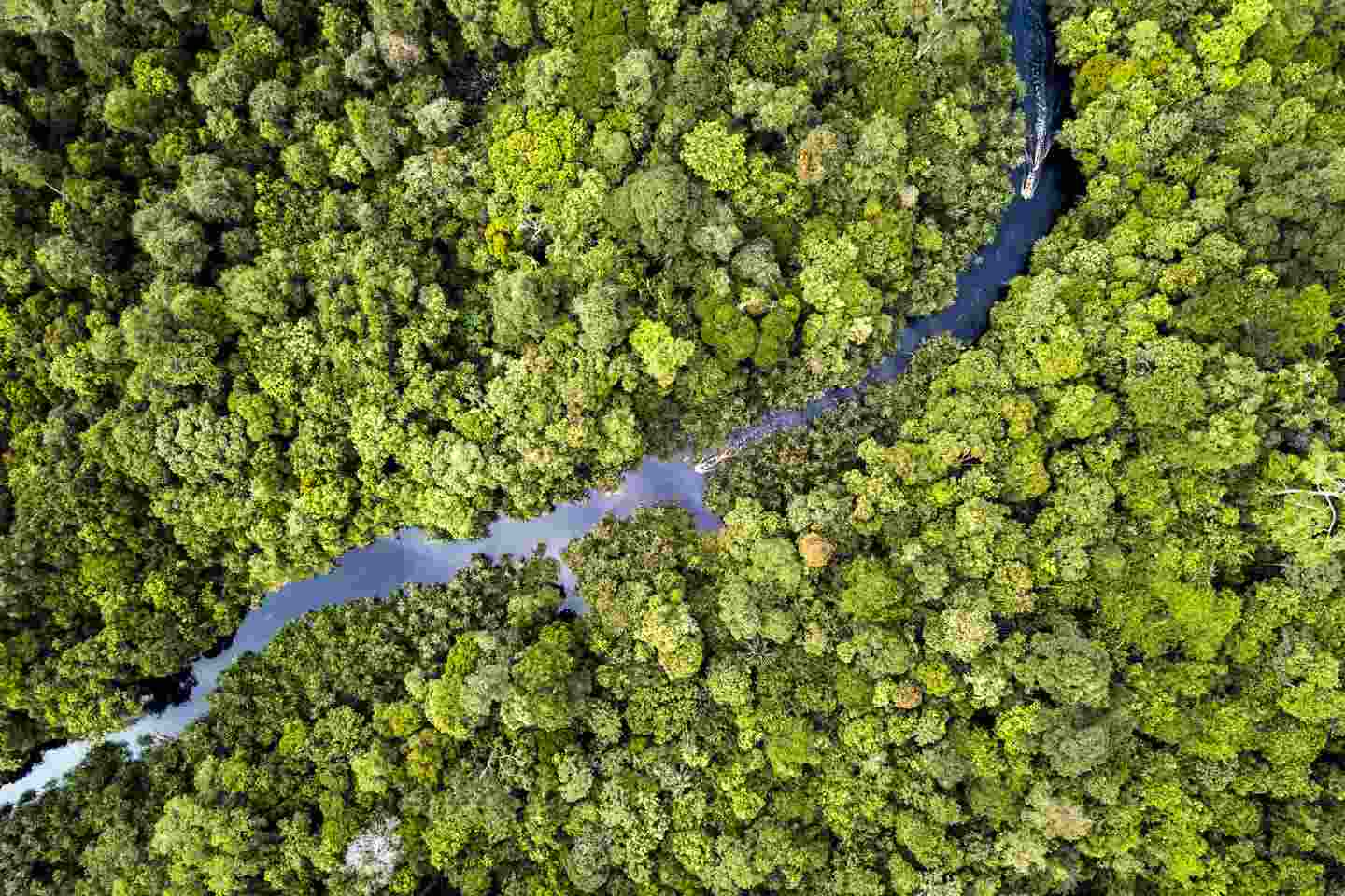 10 Pulau di Dunia Dengan Biodiversity Tinggi, Ada Pulau Sumatera