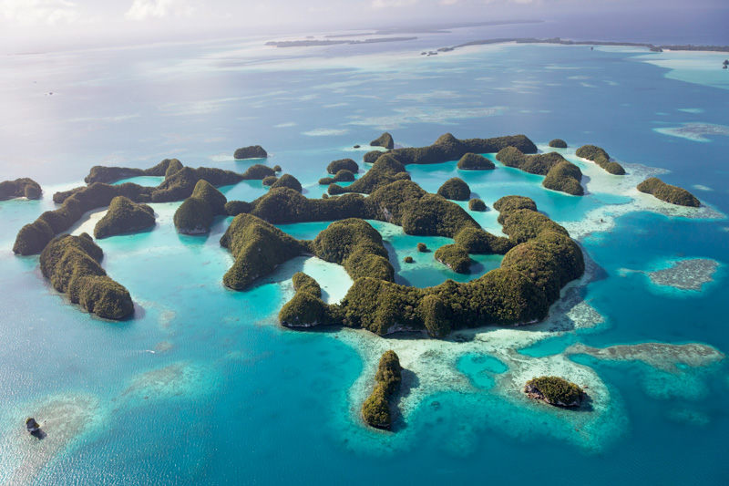 10 Pulau di Dunia Dengan Biodiversity Tinggi, Ada Pulau Sumatera