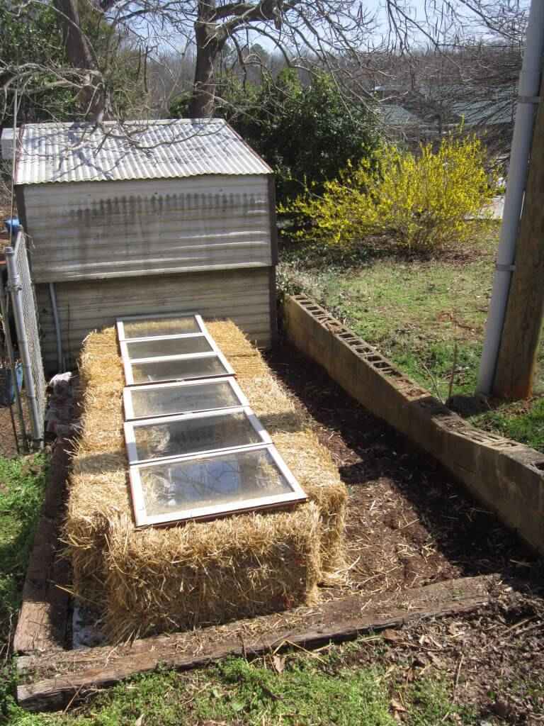 10 Cara Membuat Green House, Rumah Kaca untuk Tanaman