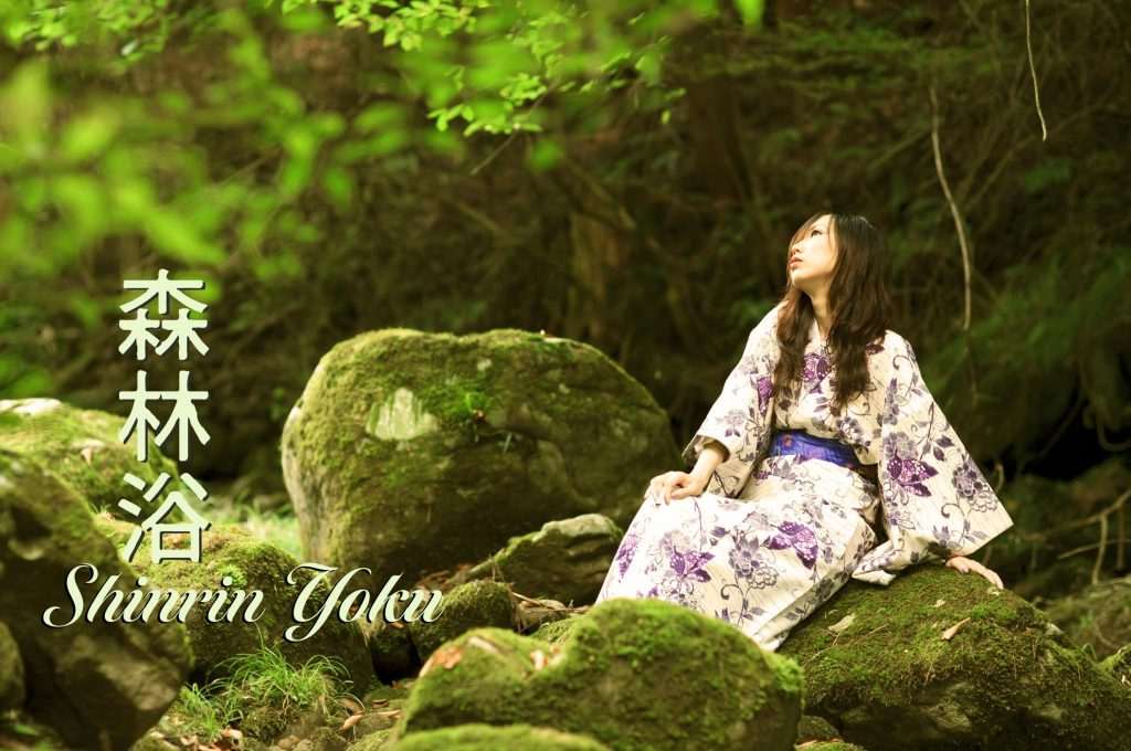 Mengenal Terapi Shinrin-yoku, Tradisi Jepang Berjemur di Hutan