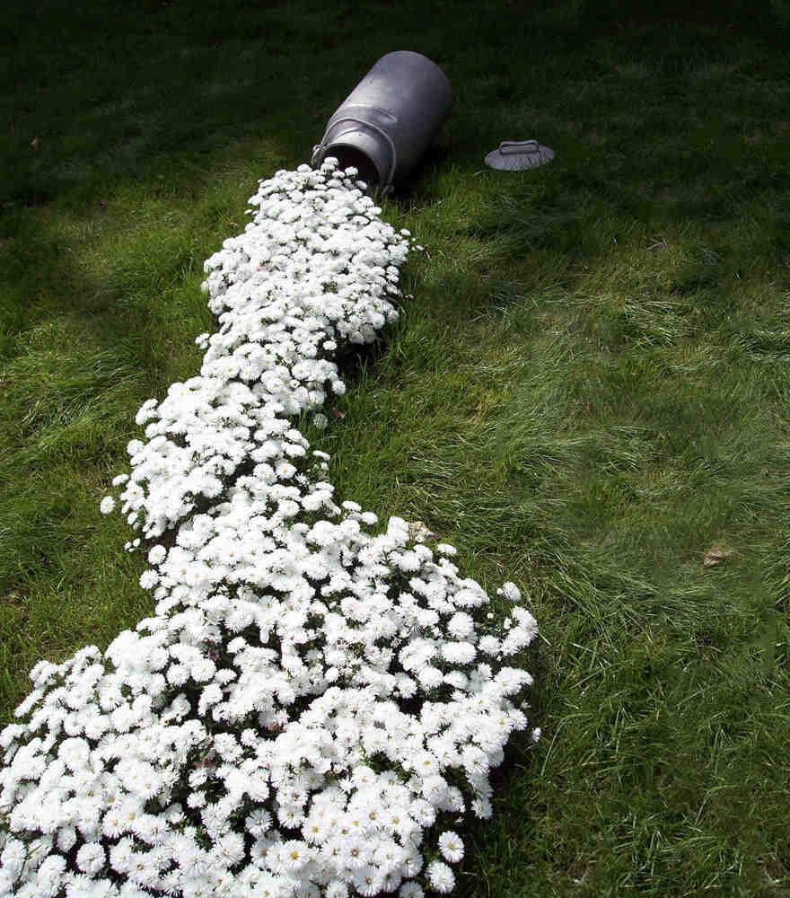 10 Ide Menarik Membuat Taman Bunga Seperti Tumpah, Beda dari yang Lain