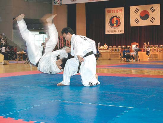 Hapkido: Sejarah, Teknik Dasar, Aturan Pertandingan, dan Istilah Penting