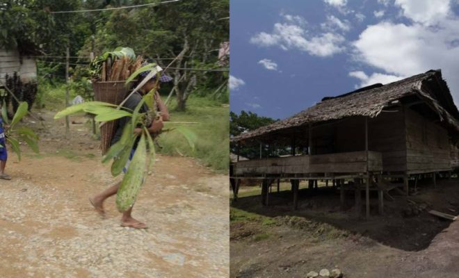 Keunikan Suku Huaulu, Rumah Adatnya Menyatu dengan Alam