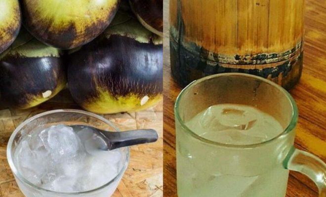 Mengenal Air Legen, Minuman Fermentasi Lontar yang Menyehatkan