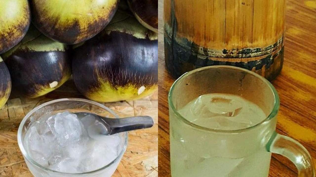 Mengenal Air Legen, Minuman Fermentasi Lontar yang Menyehatkan