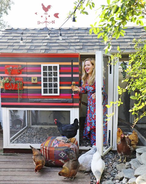 10 Inspirasi Kandang Ayam yang Artistik, Seperti Rumah Bermain