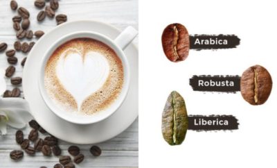 Perbedaan Robusta, Arabika, dan Liberika, Pencinta Kopi Wajib Tahu