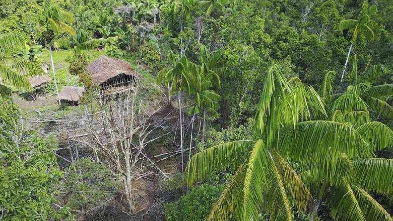 Suku Korowai, Penduduk Asal Papua dengan Rumah Pohon Tertinggi 