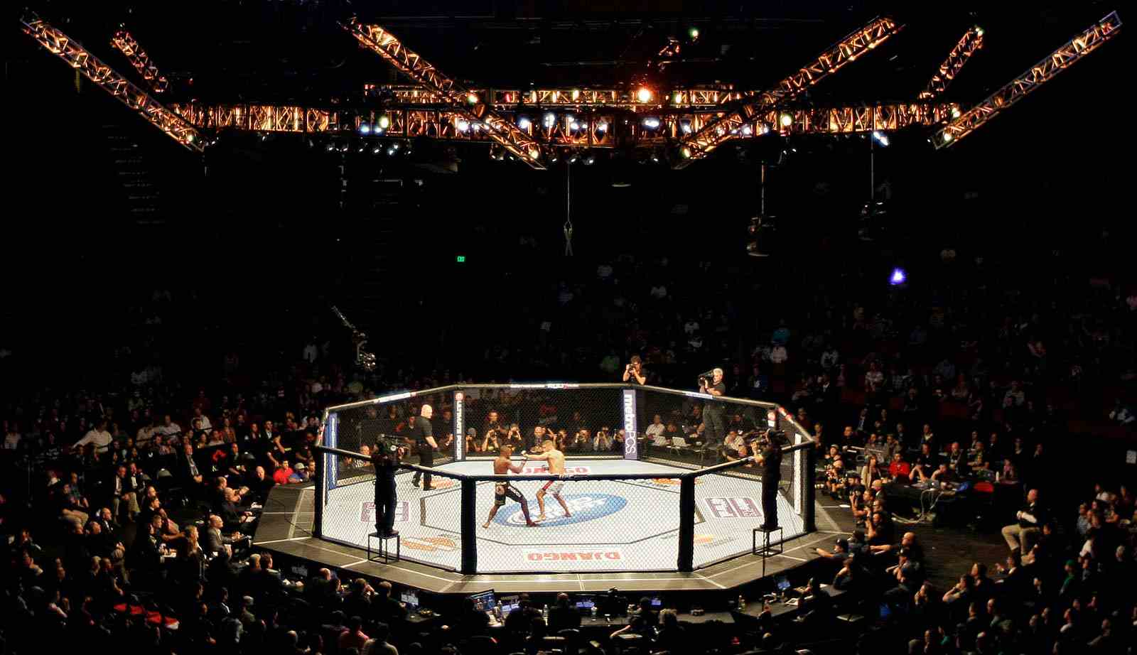 MMA: Sejarah, Teknik Dasar, Aturan Game, dan Ketentuan Penting