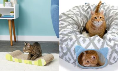 10 Mainan Terbaik untuk Kucing, Bikin Bahagia