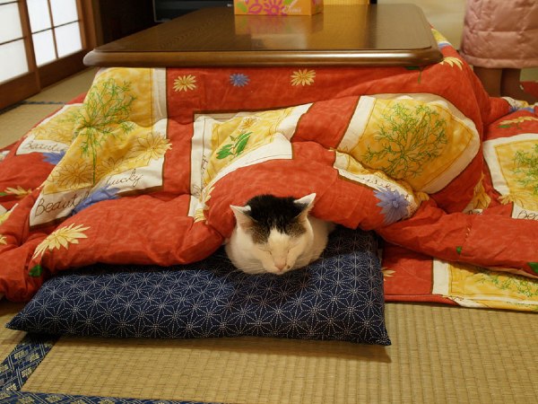 Keunikan Kotatsu, Meja Hangat Jepang untuk Musim Dingin