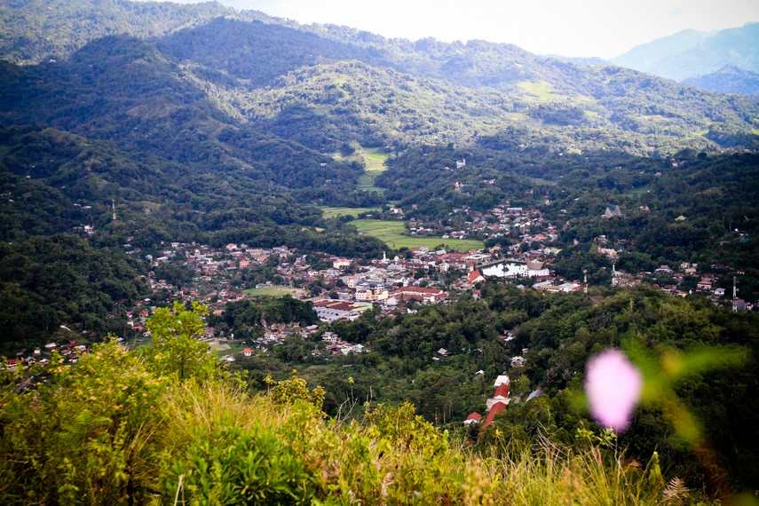 Menelusuri Passiliran, Pemakaman Bayi dalam Pohon di Toraja