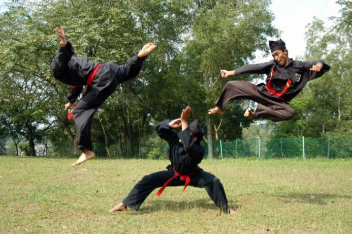 Sejarah Pencak Silat, Seni Bela Diri Yang Telah Dikenal Selama Ratusan Tahun