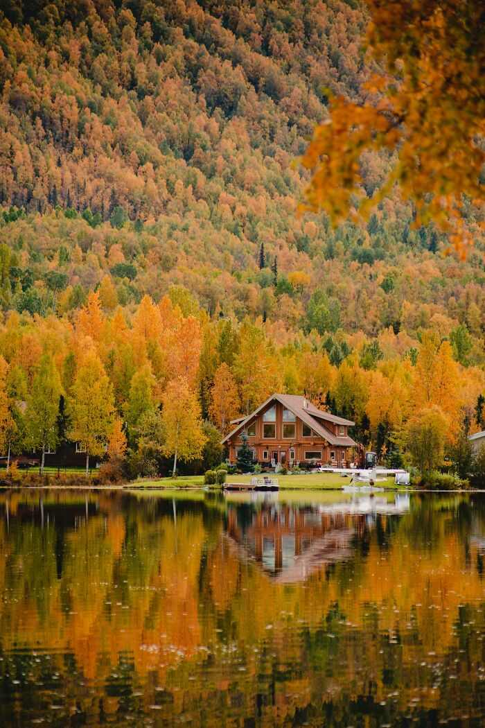 Jauh dari Keramaian, 10 Penginapan Cantik yang Ada di Hutan