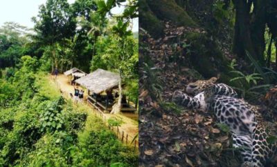 Hutan Dayeuhluhur, Lokasi Misterius dan Terlarang Untuk Pejabat