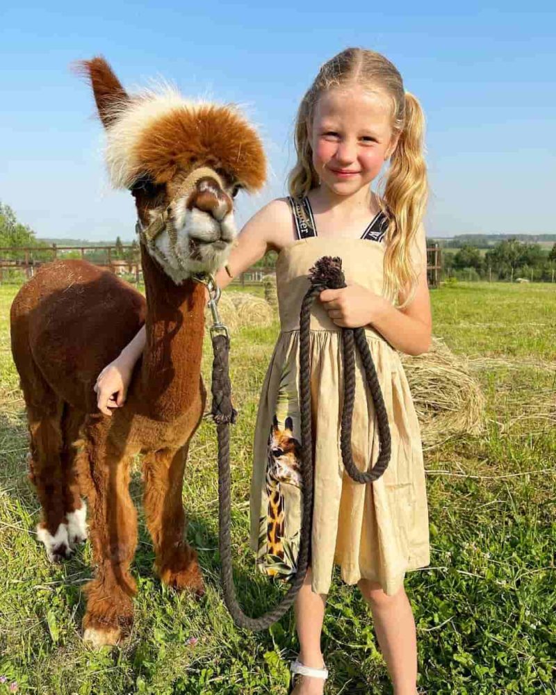 Like Nastya - Biodata, Profil, Fakta, Umur, Agama, Pacar, Karier