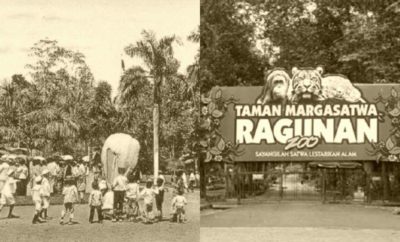 Sejarah Ragunan, Tanah Bangsawan yang Menjadi Kebun Binatang