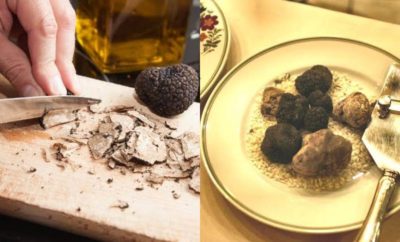 5 Fakta Jamur Truffle, Harganya Bisa Mencapai Milyaran