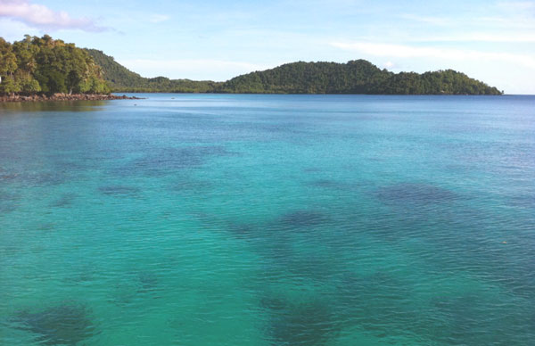 Sangat menghargai dan menghargai makanan laut 