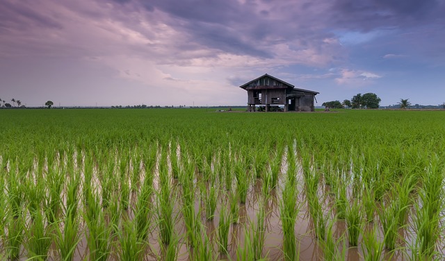 10 Kebiasaan Orang Jawa, Terkenal dengan Keramahannya