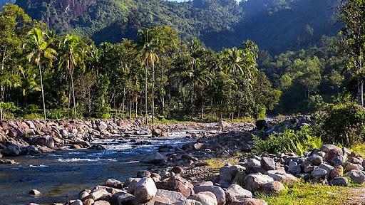 Kisah Uhang Pandak, Legenda Manusia Kurcaci dari Jambi