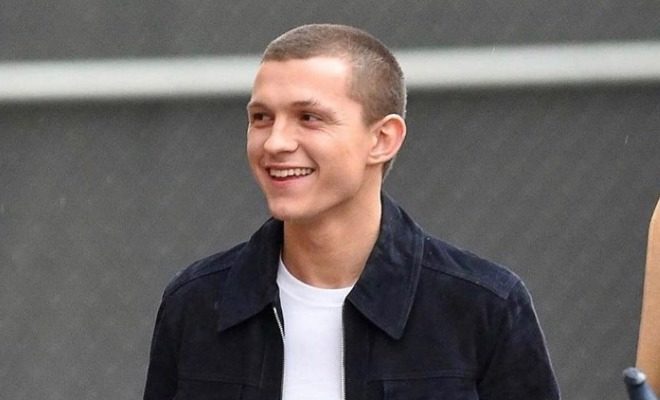 Biodata, Profil, dan Fakta Tom Holland