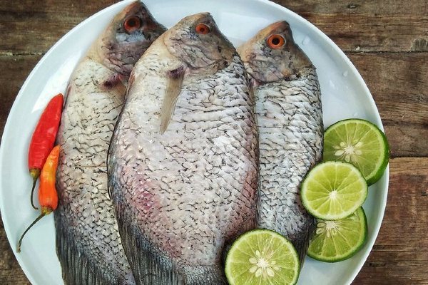 10 Jenis Ikan Favorit yang Bisa Dikonsumsi di Indonesia