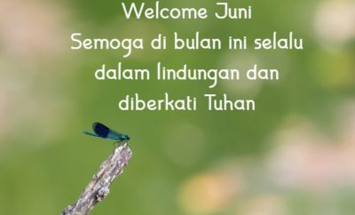 57 Kata-Kata Menyambut Bulan Juni, Spesial Bisa jadi Motivasi