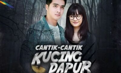 Cantik-Cantik Kucing Dapur - Sinopsis, Pemain, OST, Episode, Review