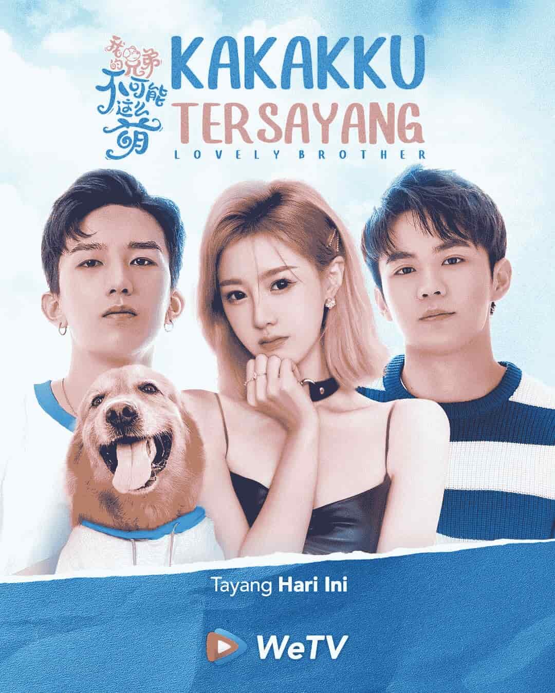 Lovely Brother - Sinopsis, Pemain, OST, Episode, Review