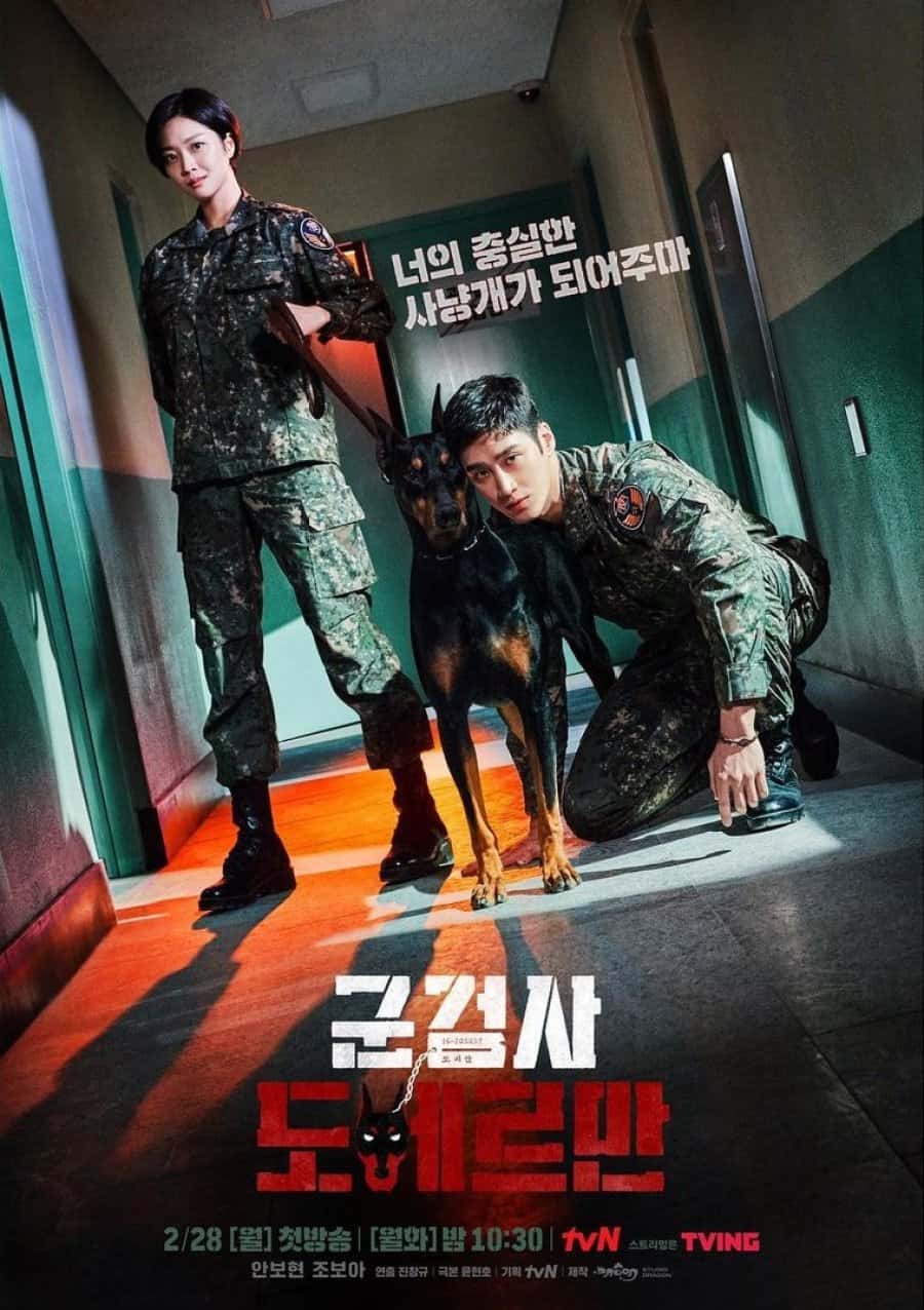 Pemain military prosecutor doberman