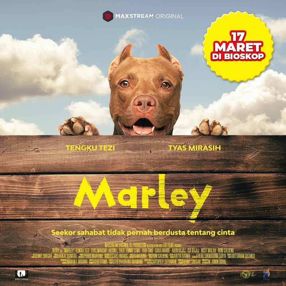 Marley - Sinopsis, Pemain, OST, Review