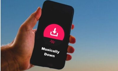 MusicallyDown: Download Video dan Audio TikTok Gratis, Tanpa Watermark