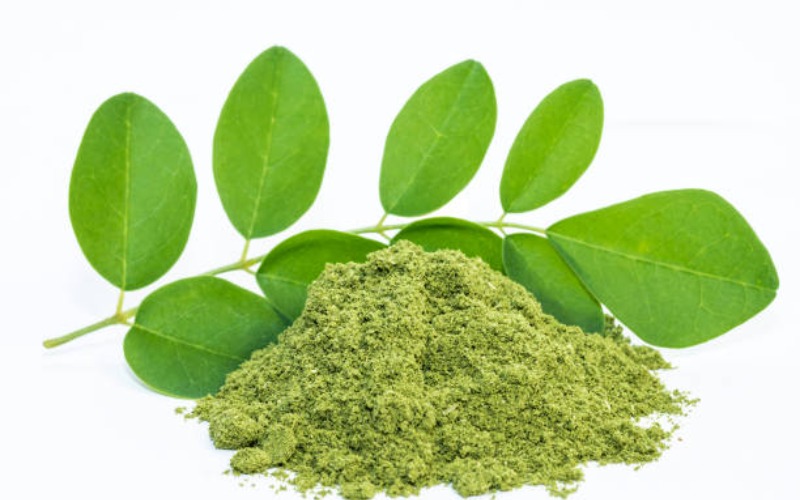 10 Miraculous Benefits of Moringa Leaves for Health