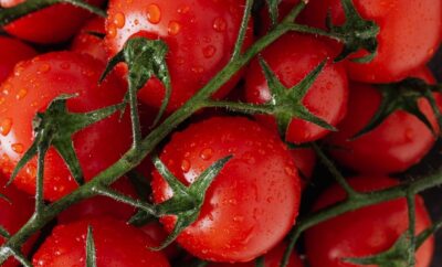 8 Manfaat Tomat, Menyehatkan mata dan Mencegah Penuaan Dini