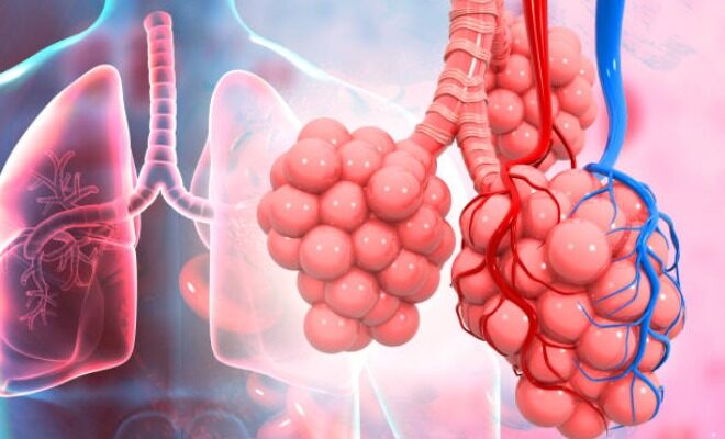 Fungsi Alveolus, Sel Penyusun, Gangguan serta Faktor Penyebabnya