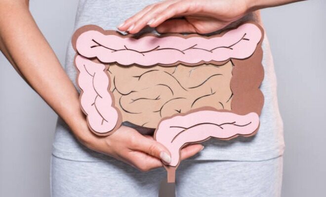 Fungsi Usus Besar, Bagian-bagian serta Gangguan pada Fungsinya
