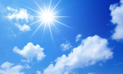 8 Manfaat Energi Matahari bagi Hewan agar bisa Bertahan Hidup