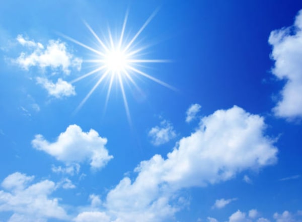 8 Manfaat Energi Matahari bagi Hewan agar bisa Bertahan Hidup