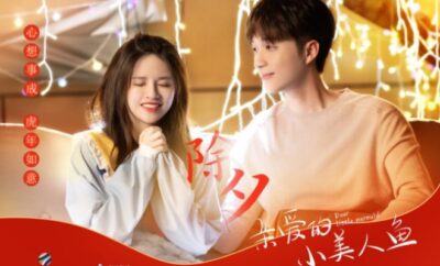 Dear Little Mermaid - Sinopsis, Pemain, OST, Episode, Review