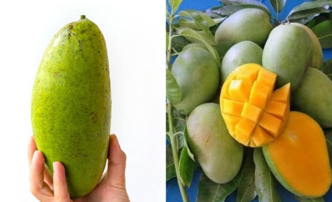 10 Jenis Mangga, Dari Kweni hingga Golek