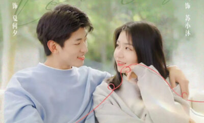 My Lovely Matchmaker - Sinopsis, Pemain, OST, Episode, Review