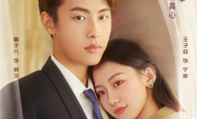 A Love Journal - Sinopsis, Pemain, OST, Episode, Review