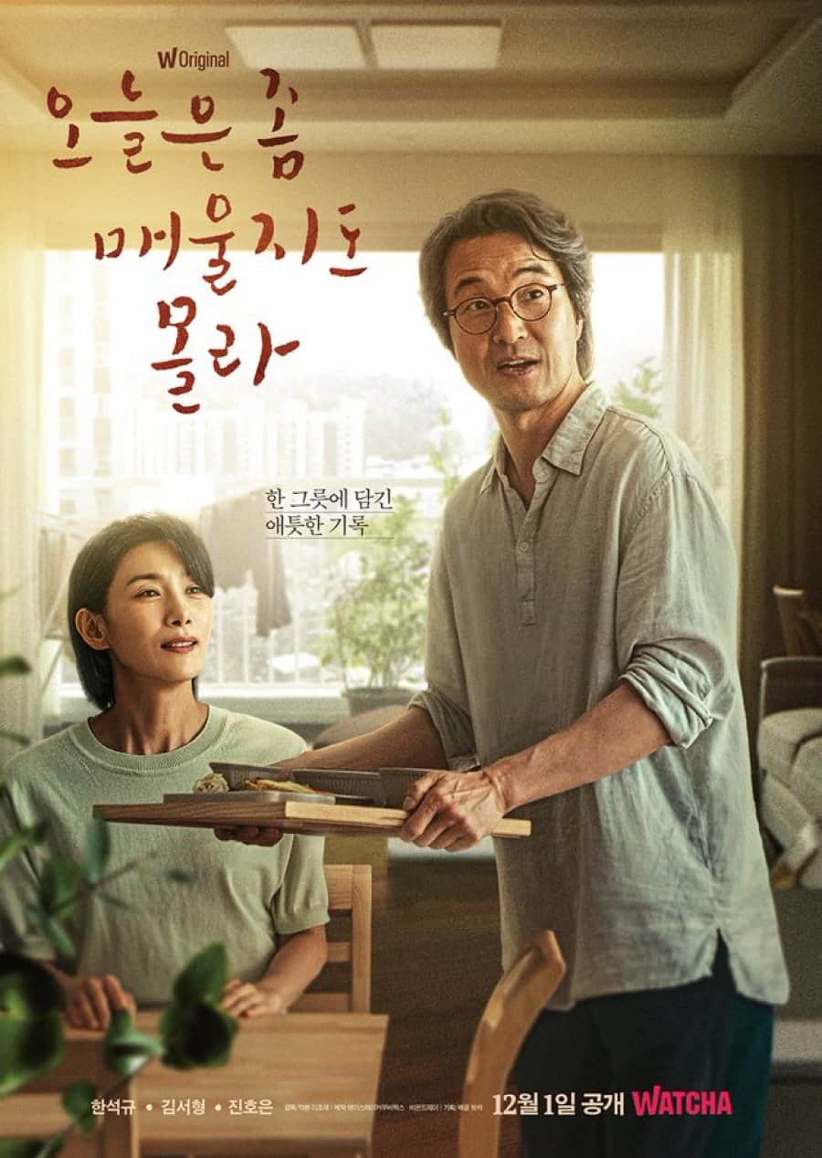 Recipe for Farewell - Sinopsis, Pemain, OST, Episode, Review